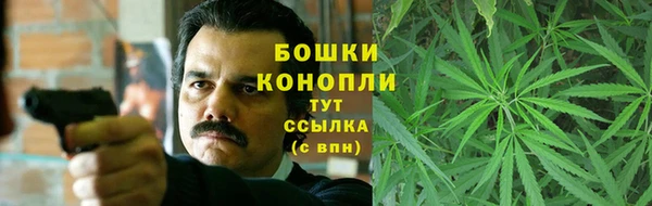 гидропоника Гусев