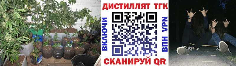 Купить где  Аткарск  ТГК Wax 
