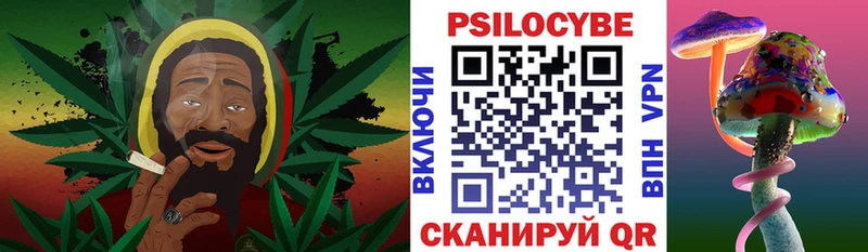 Псилоцибиновые грибы мухоморы Купить закладки Аткарск